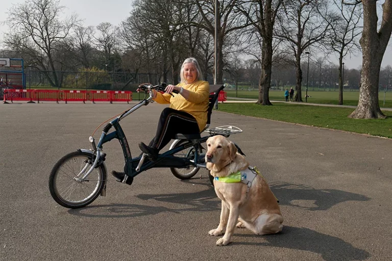 Adult Tricycles for Stability and Comfort