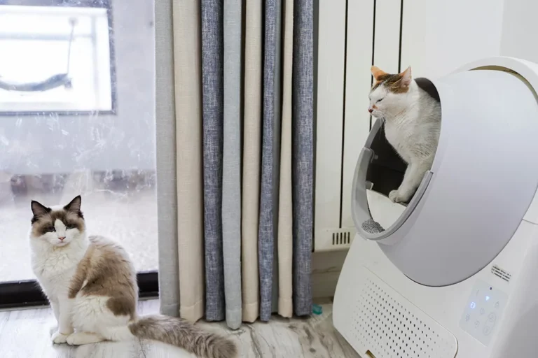 High-Tech and Eco-Friendly Cat Litter Boxes