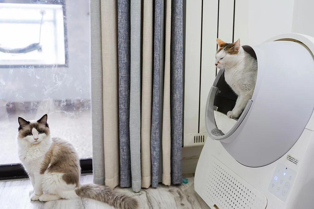 High-Tech and Eco-Friendly Cat Litter Boxes