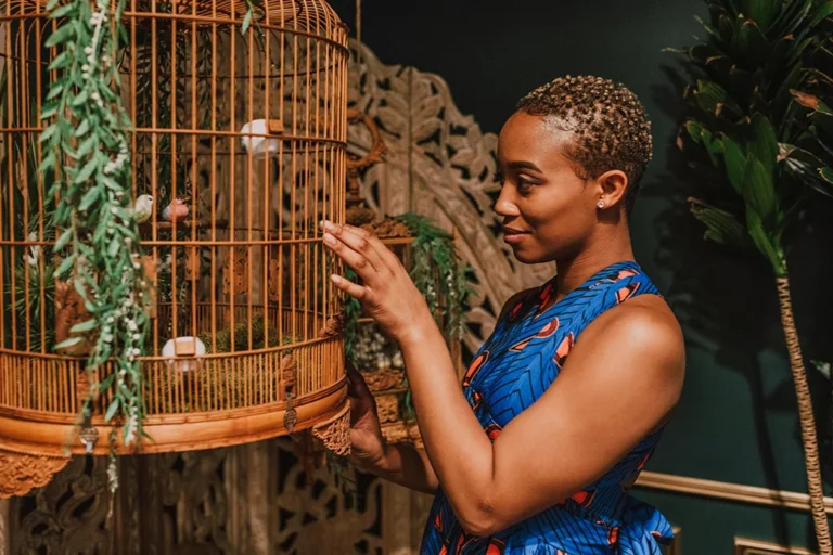 Best Spacious and Durable Bird Cages