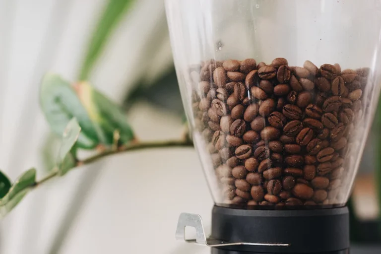 Coffee Grinders for the Richest Flavors