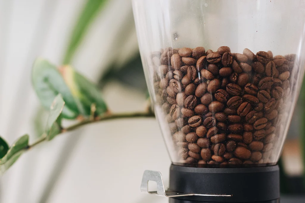 Coffee Grinders for the Richest Flavors