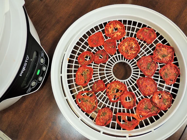 Dehydrators for Homemade Dried Snacks