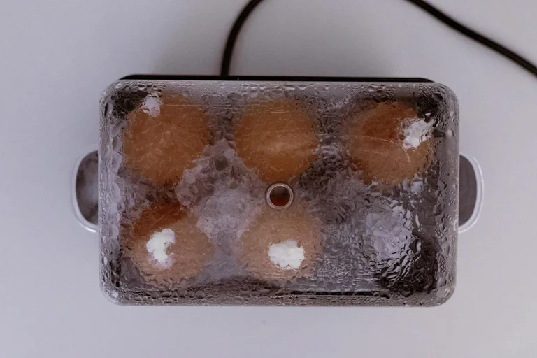 10 Best Electric Egg Cookers for Busy Mornings