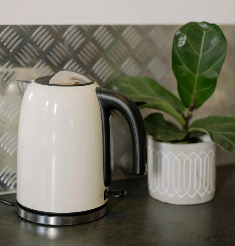 10 Best Electric Kettles for Everyday Use