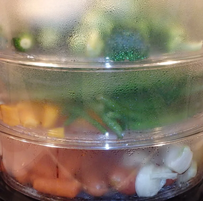 Best Food Steamers for Healthy Meals