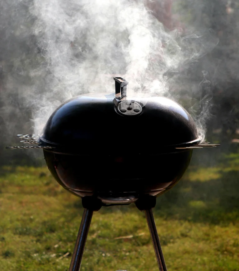 Best Grills for Perfect Outdoor Cooking