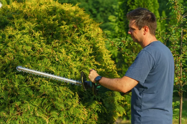 Best Hedge Trimmers for a Perfectly Maintained Garden