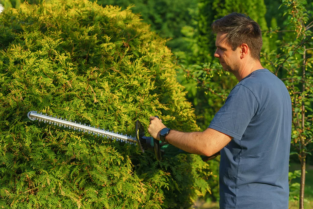 Best Hedge Trimmers for a Perfectly Maintained Garden
