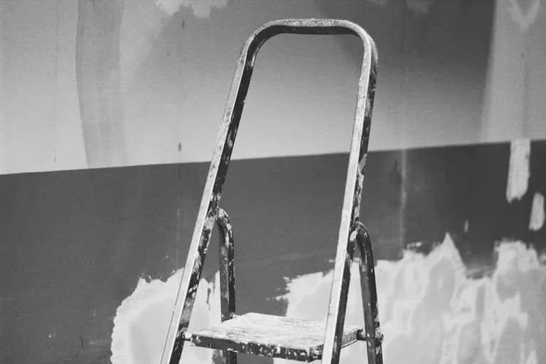 Best Ladders for Home and Professional Use