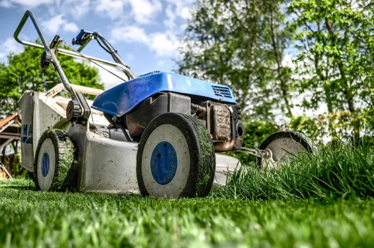 Best Lawn Mowers for a Perfectly Trimmed Lawn