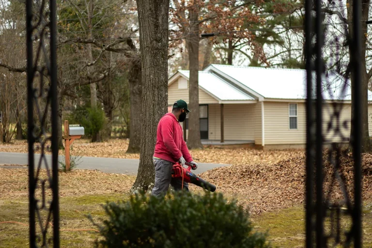 est Leaf Blowers for Easy Yard Maintenance