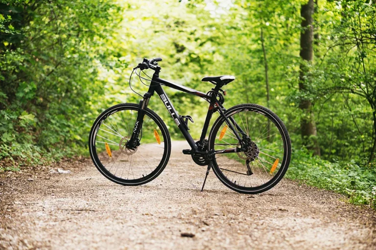 Best Mountain Bikes for Rough Terrain