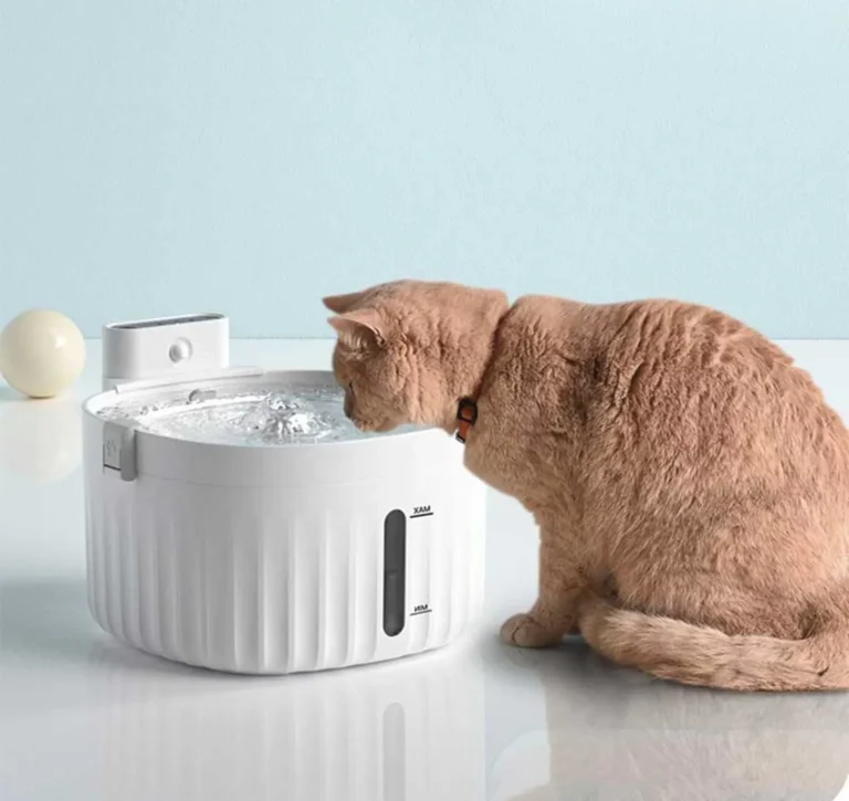 est Pet Water Fountains for Hydrated and Happy Pets