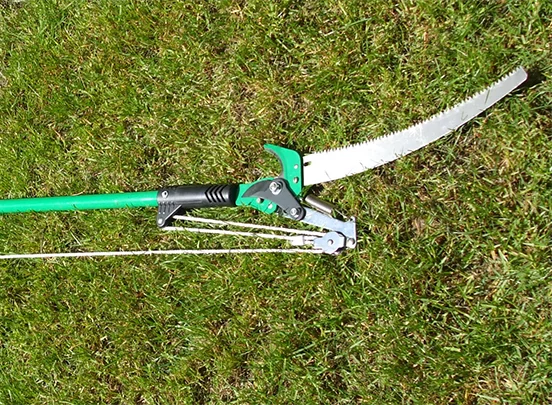 Lightweight and Durable Pole Saws