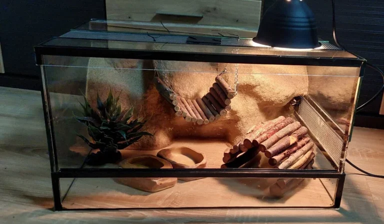 Reptile Terrarium