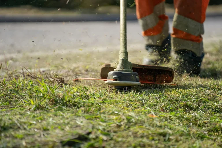 10 Best String Trimmers for a Well-Maintained Yard